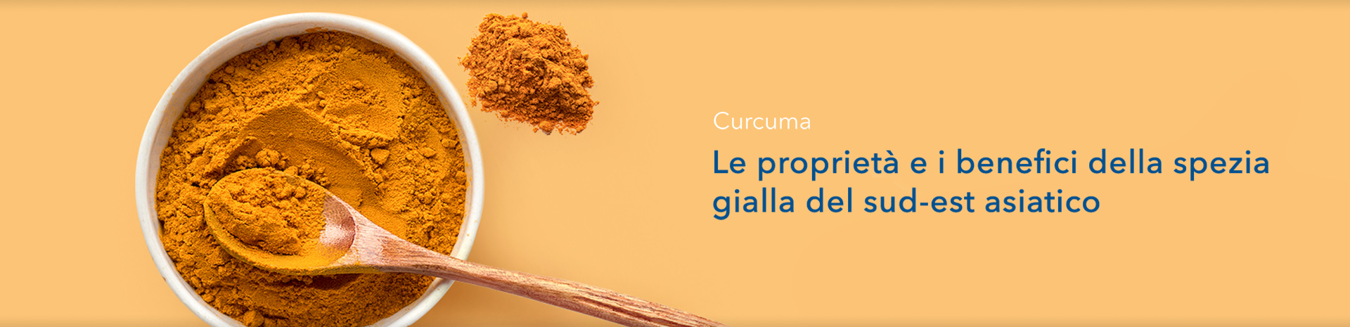 Curcuma - GUIDA - SHOP FARMACIA