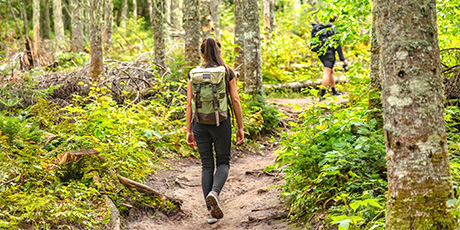 Due persone camminano in una foresta. Una persona indossa uno zaino.