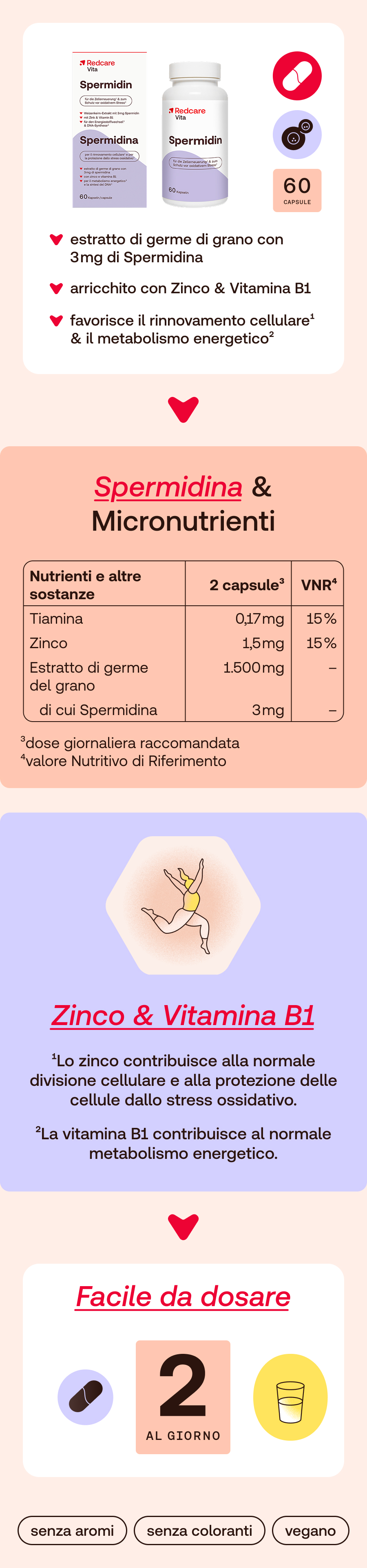 Infografica su Redcare Vita Spermidin. Contiene informazioni su ingredienti, dosaggio e benefici. Con illustrazioni.